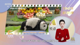 免费xxx性高电影